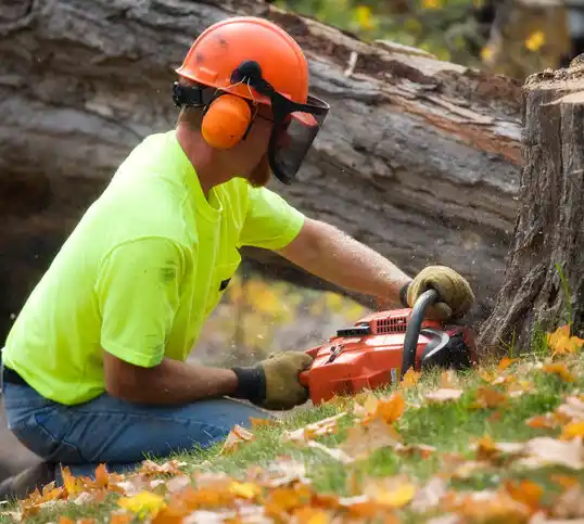 tree services Archbold